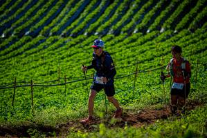 BIB: 
                            <button type="button" onclick="openModal(19160884)" class="btn btn-primary btn-sm float-right btn-popup" data-toggle="modal" data-target=".modal-high-quality">
                        <i class="fas fa-shopping-cart"></i> Add to Cart
                    </button>
                                            <button type="button" onclick="isThisMe(19160884, true)" class="btn btn-success btn-sm float-right btn-popup btn-isme hidden" data-toggle="tooltip" data-placement="bottom" title="นี่คือรูปของคุณใช่ไหม คลิกที่นี่เพื่อเอาเข้าอัลบั้ม">
                        <i class="fas fa-plus"></i> Add to album
                    </button>
                    <button type="button" onclick="isThisMe(19160884, false)" class="btn btn-warning btn-sm float-right btn-popup btn-isnotme hidden">
                        <i class="fas fa-ban"></i> Remove from album
                    </button>